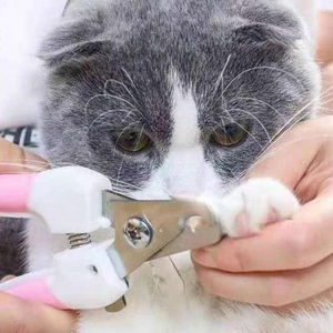 Cortador de Unha para C&atilde;es e Gatos Pequenos-Miau Auau Pets
