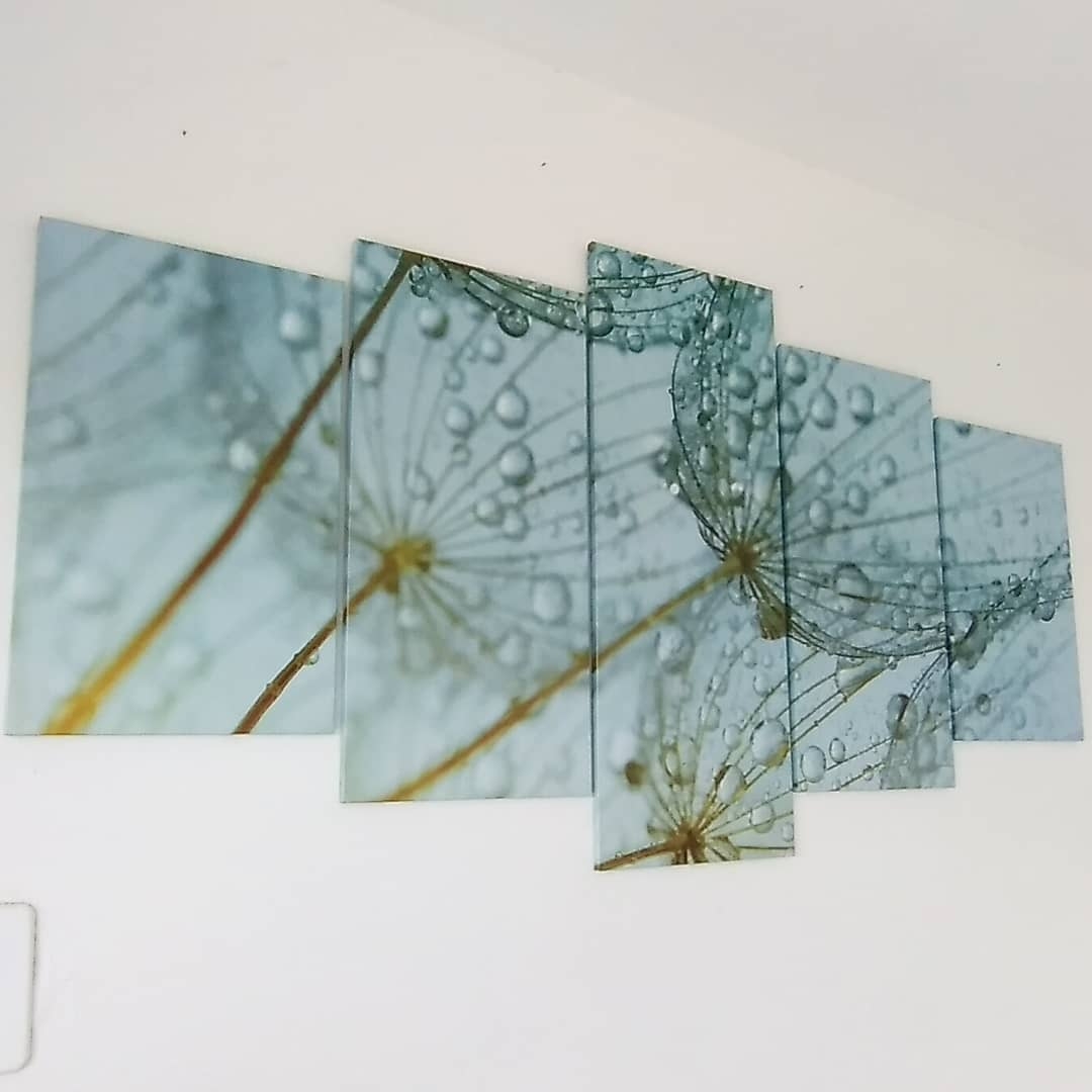 Quadro Decorativo Flor Dente de Leão
