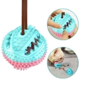 Bolinha para C&atilde;es com Ventosa de Silicone-Miau Auau Pets