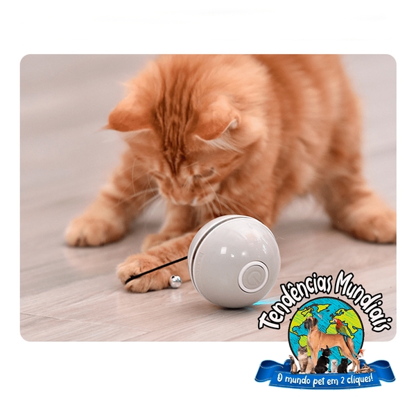 Bola de Brinquedo Interativa para Gatos com Luz Led Bola Giratória  Automática de 360 Graus Interativa Recarregável Por Usb