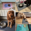 Tapete Imperme&aacute;vel para Tigelas Pets-Miau Auau Pets