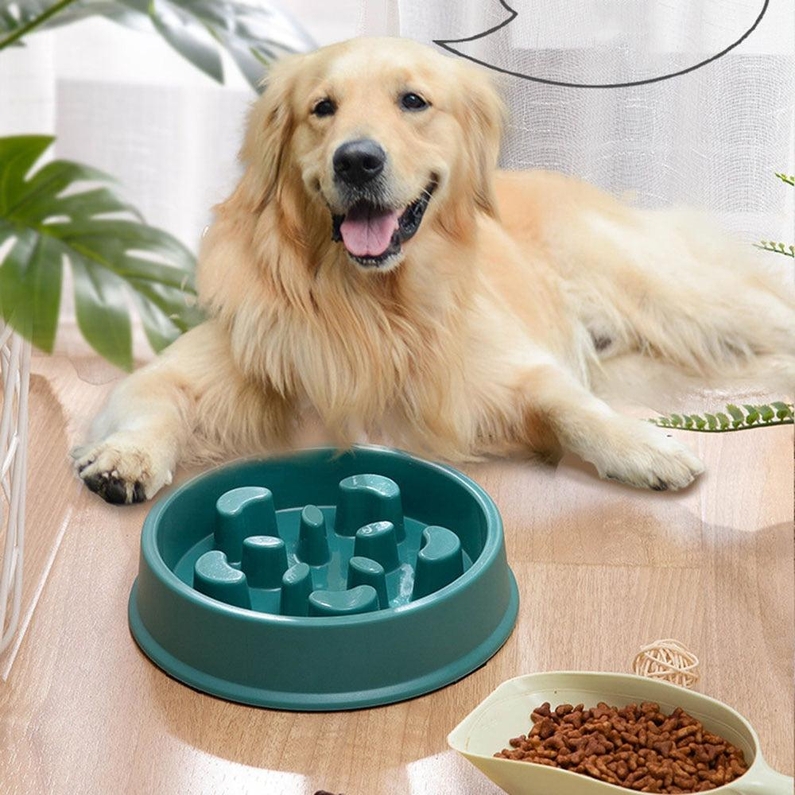 Comedouro Lento para C&atilde;es e Gatos-Miau Auau Pets