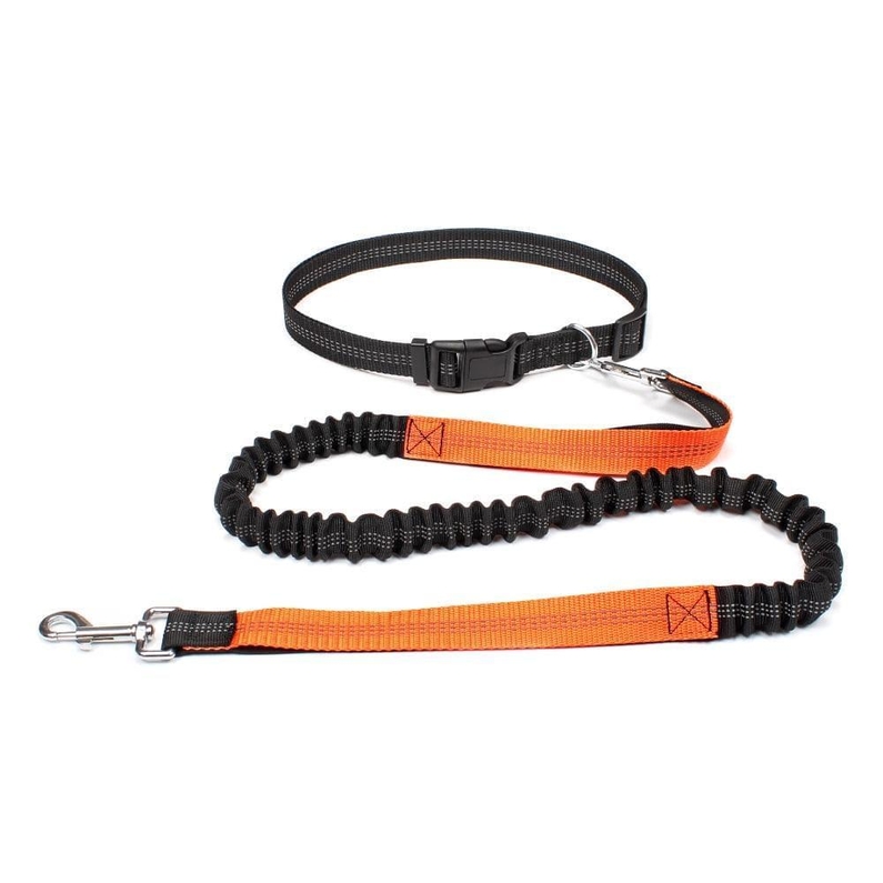 Coleira de Cachorro para Corrida/Caminhada-Miau Auau Pets