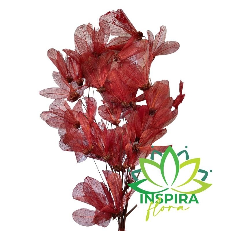Flor De Magnólia No Galho Folha Marsala Arranjo Decoração – Inspira Flora