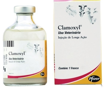 Clamoxyl 100mL
