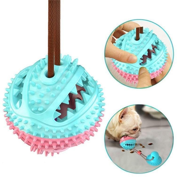 Bolinha para C&atilde;es com Ventosa de Silicone-Miau Auau Pets