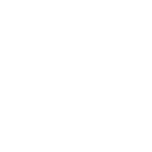 Virtus Imports Store