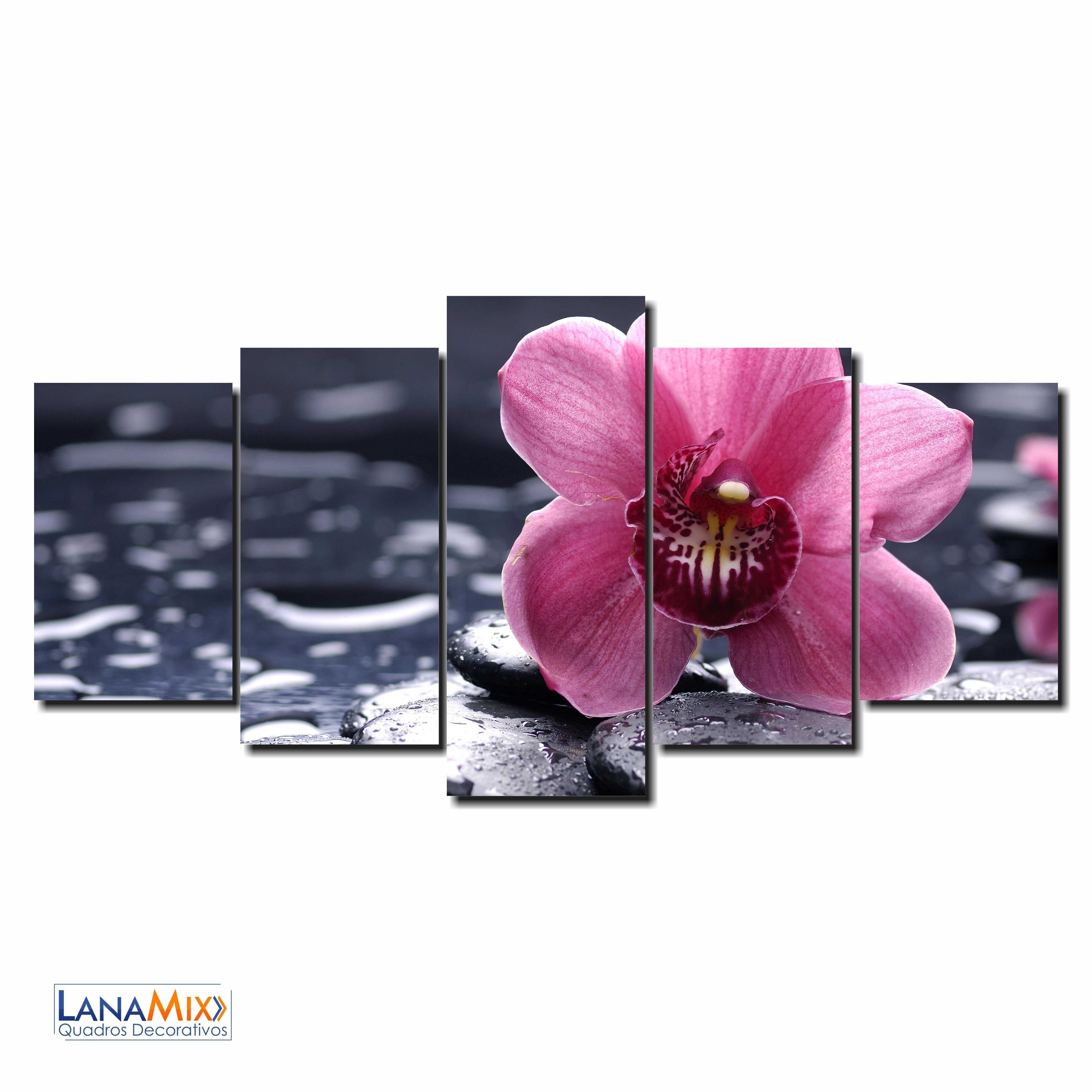 Quadro Decorativo Orquídea Rosa
