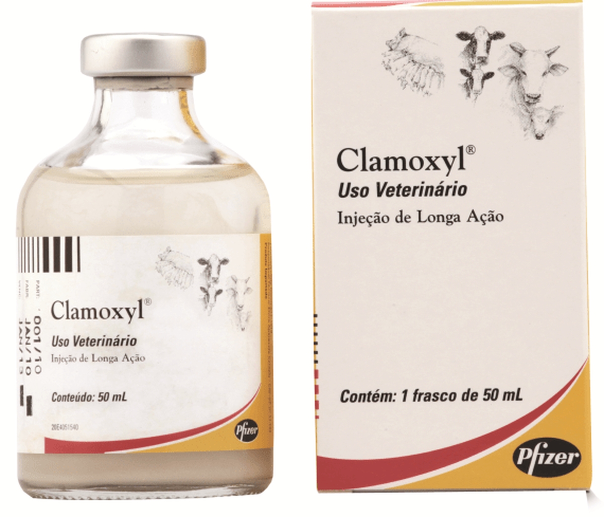 Clamoxyl 50mL