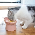 Comedouro para Gatos-Miau Auau Pets