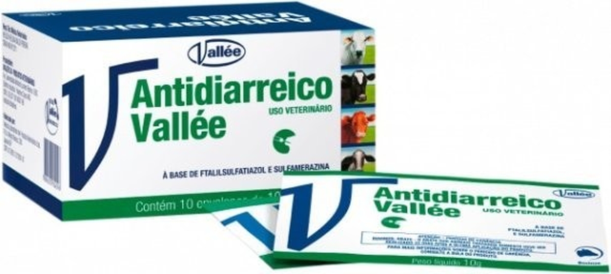Antidiarreico Vall&eacute;e em P&oacute; Caixa 10x10g (100g)