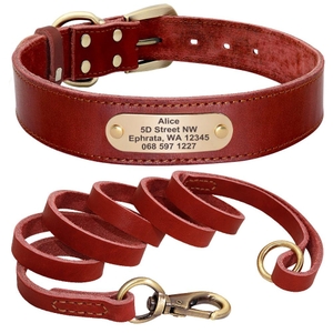 Coleira para C&atilde;es de Couro Personalizada com Guia-Miau Auau Pets