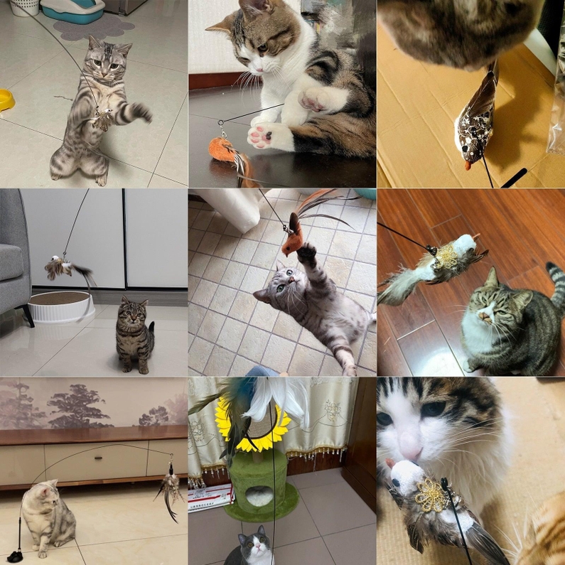Brinquedo para Gatos Varinha Interativa-Miau Auau Pets