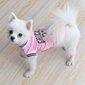 Roupa Pet Malha Respir&aacute;vel Chicago 23-Miau Auau Pets