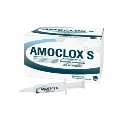 Amoclox S Caixa com 30 Seringas de 7g para Vaca Seca