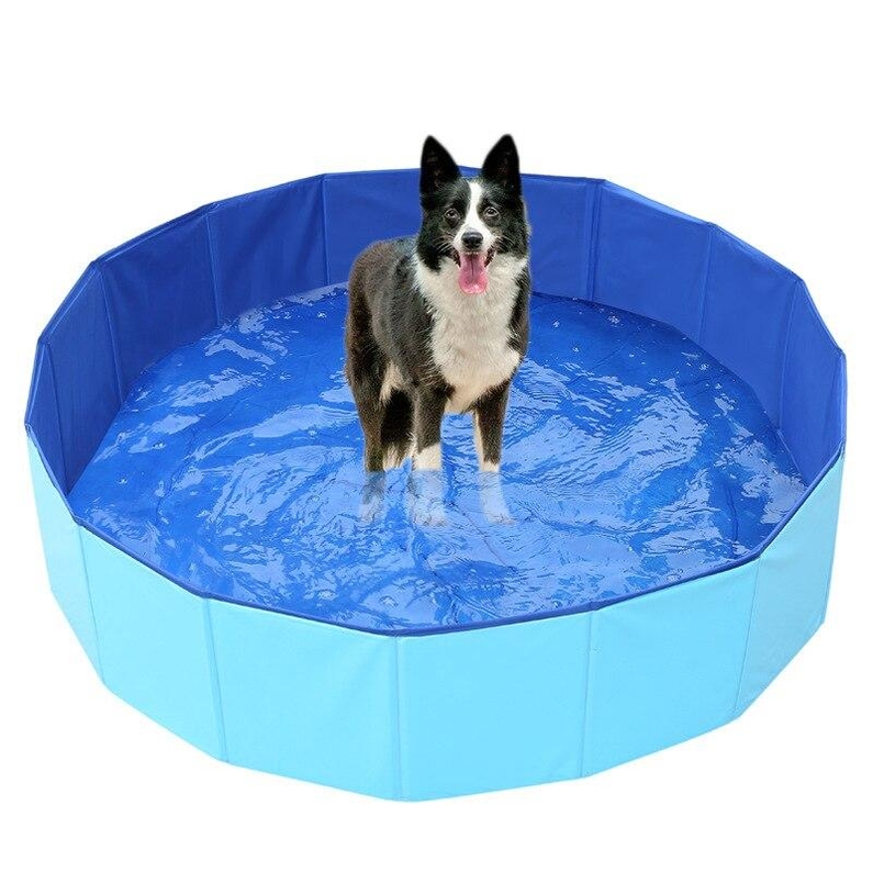 Piscina para C&atilde;es Dobr&aacute;vel-Miau Auau Pets