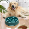 Comedouro Lento para C&atilde;es e Gatos-Miau Auau Pets