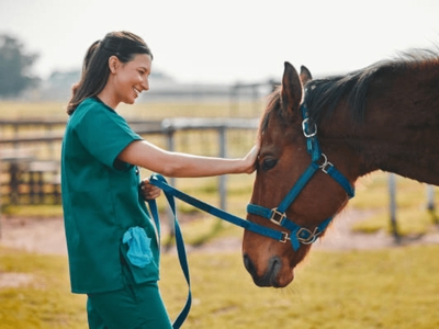 Veterinários