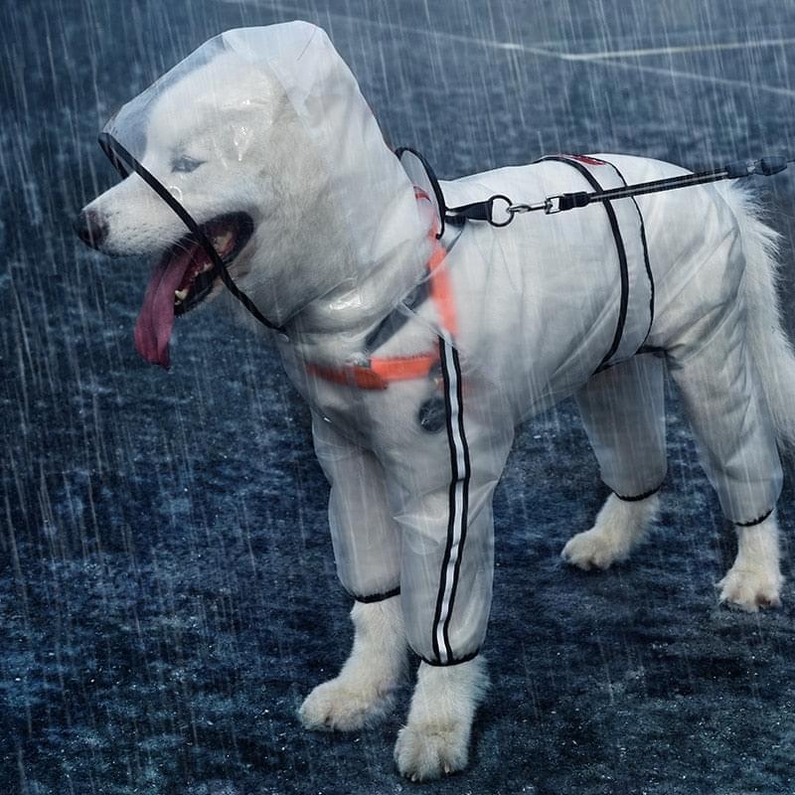 Capa de Chuva para C&atilde;es Refletiva com Capuz-Miau Auau Pets