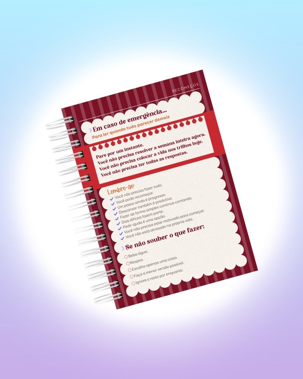 Arquivo Digital Planner de Sobrevivência para Cérebros Caóticos