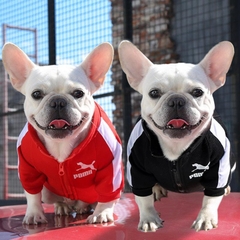 Roupa para C&atilde;es Jaqueta de Inverno-Miau Auau Pets