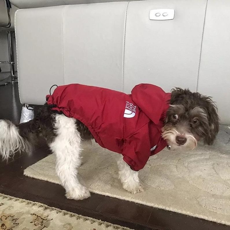 Roupa para C&atilde;es de Pequeno/M&eacute;dio Porte Casaco de Inverno-Miau Auau Pets