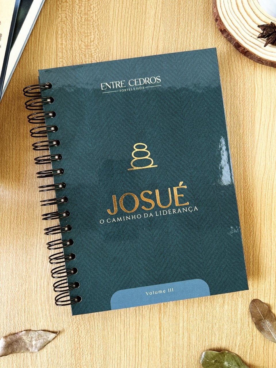 Devocional A5 – 4 volumes – Dia dos Pais