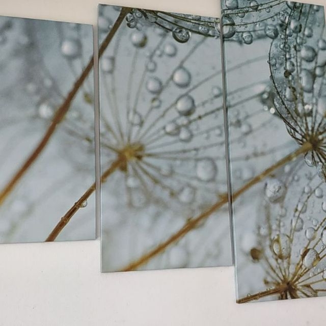 Quadro Decorativo Flor Dente de Leão