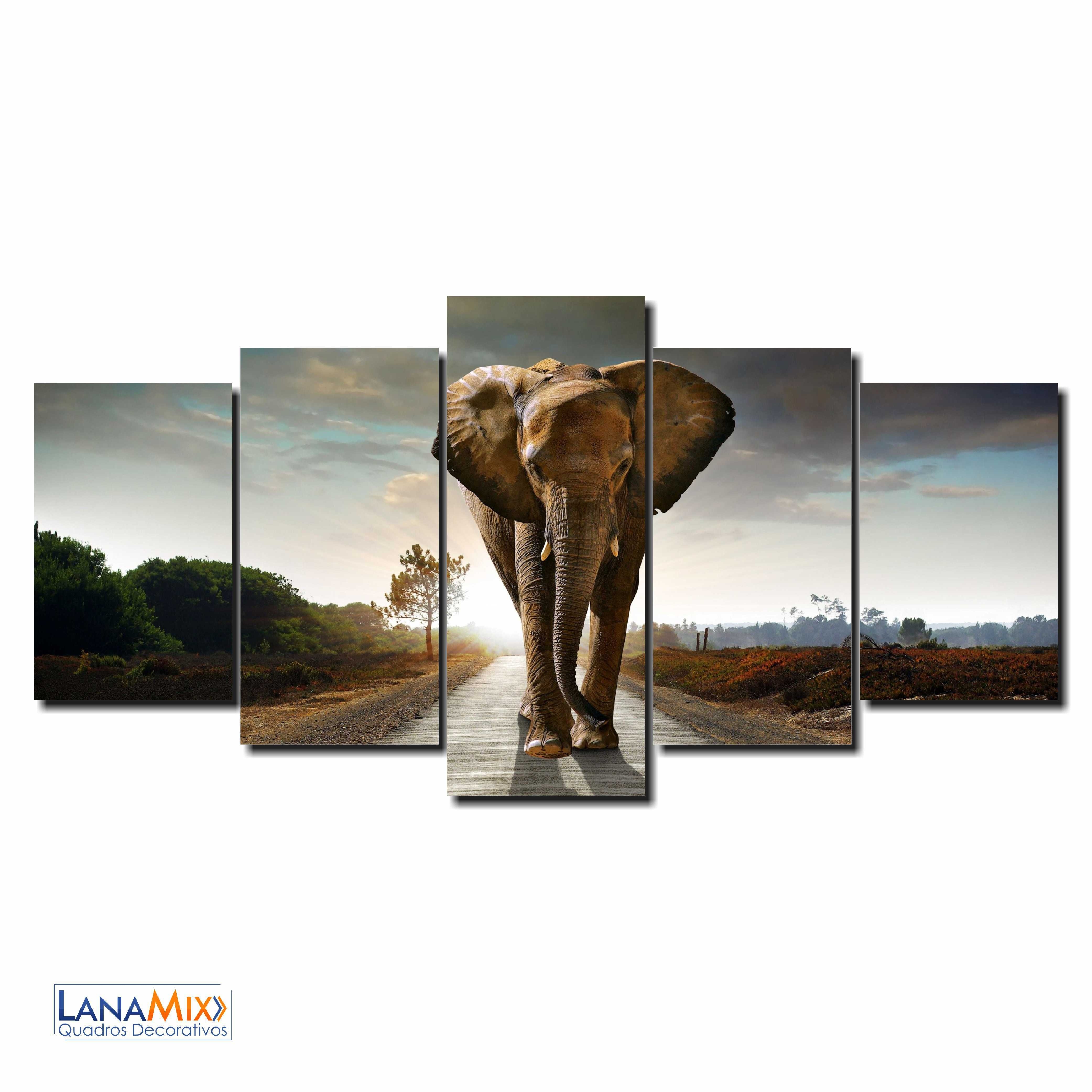Quadro Decorativo Elefante