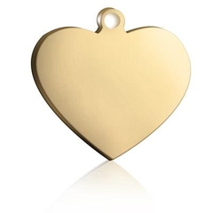 Tag de Identifica&ccedil;&atilde;o Personalizada para Pets-Miau Auau Pets