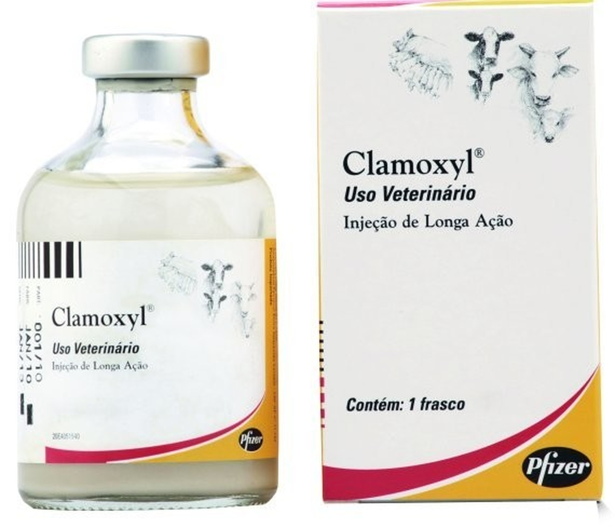 Clamoxyl 100mL