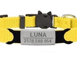 Coleira para C&atilde;es e Gatos Pequenos Personalizada com Sino-Miau Auau Pets