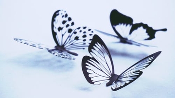 TEST ALT TEXT 2