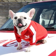 Roupa para C&atilde;es Jaqueta de Inverno-Miau Auau Pets