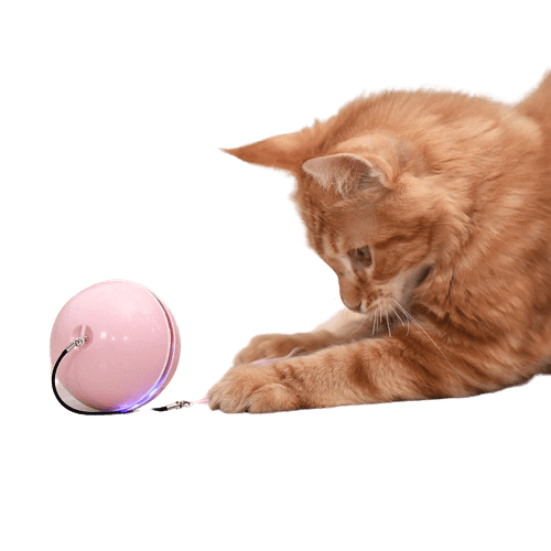 Brinquedo Interativo para Gatos Bola Giratória Automática de 360