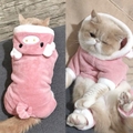 Roupas para C&atilde;es e Gatos Fantasias de Animais-Miau Auau Pets