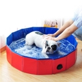 Piscina para C&atilde;es Dobr&aacute;vel-Miau Auau Pets