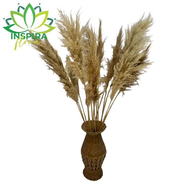 Arranjo 10 Capim Dos Pampas Com Vaso Jarra Bambu De Chão – Inspira Flora
