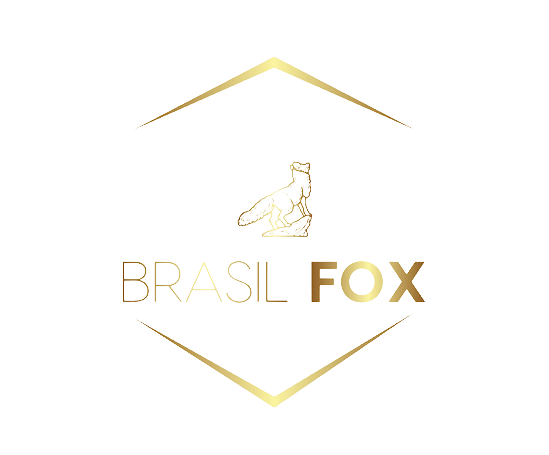 Brasil Fox Store