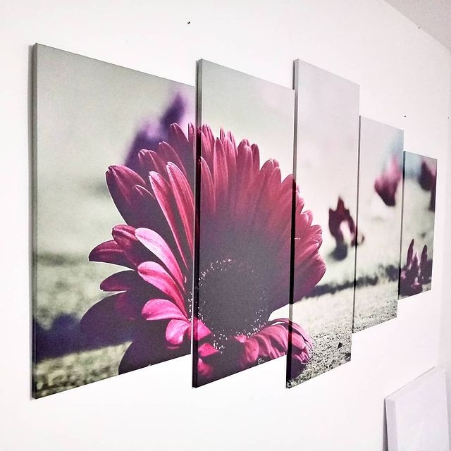 Quadro Decorativo Flor no Chão