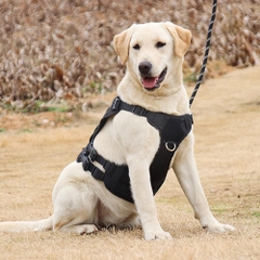Peitoral Para Cachorro-Miau Auau Pets