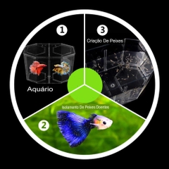 Aqu&aacute;rio para Peixes de Acr&iacute;lico com Duas Divis&otilde;es-Miau Auau Pets