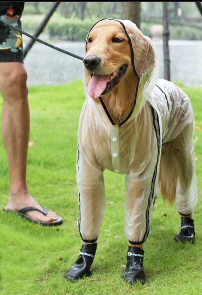 Capa de Chuva para C&atilde;es Refletiva com Capuz-Miau Auau Pets