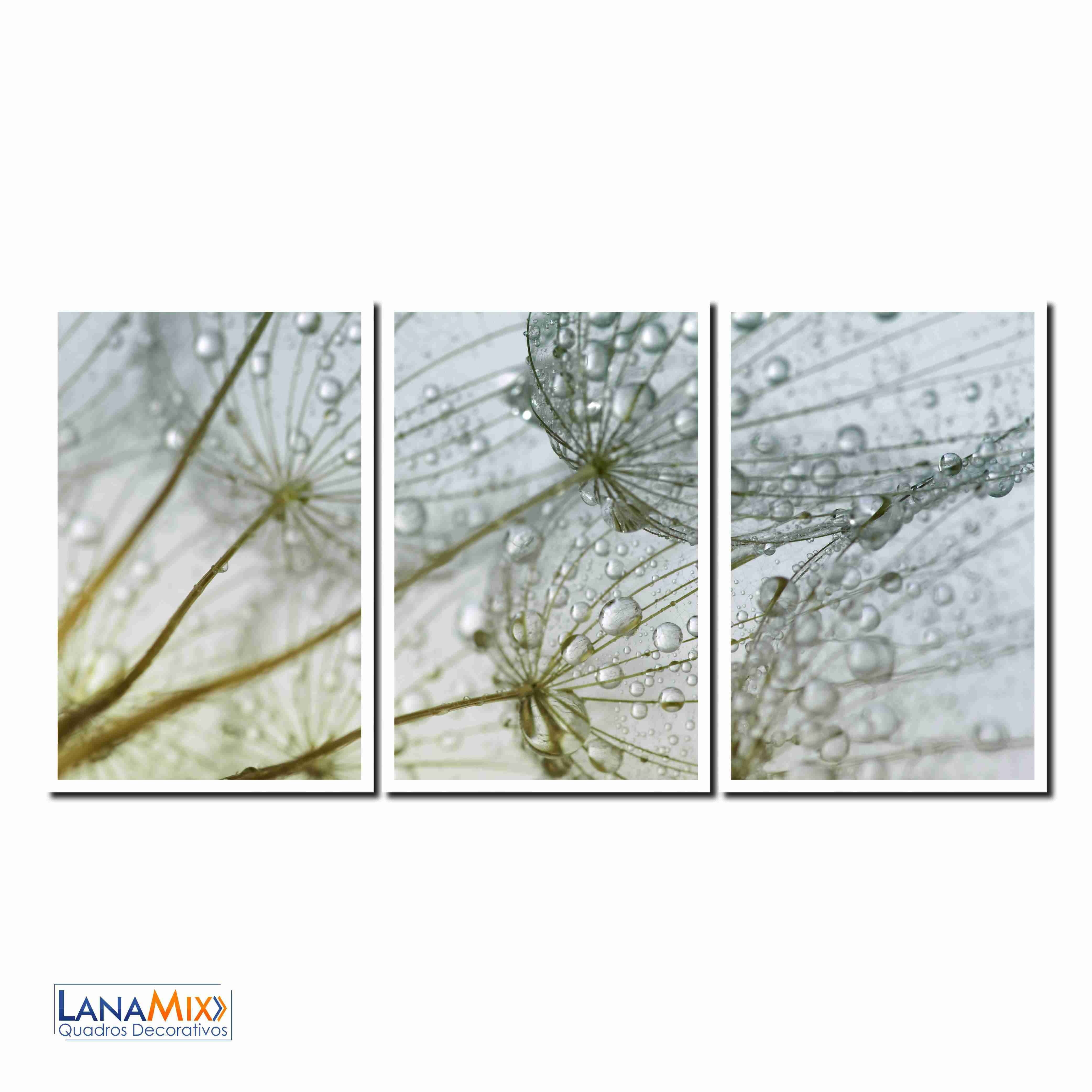 Quadro Decorativo Flores Dente de Leão