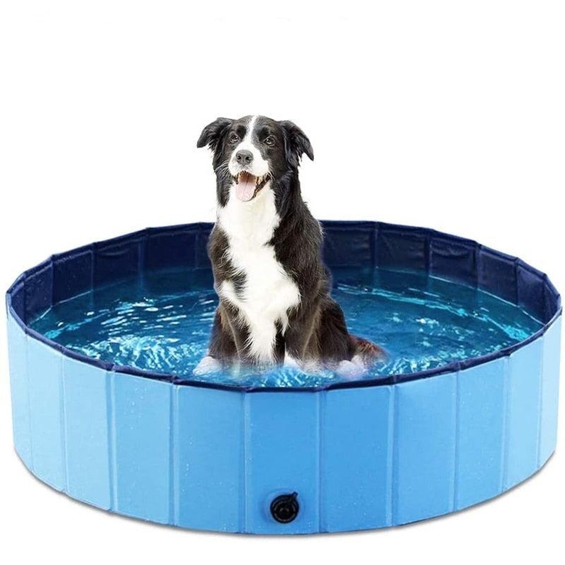 Piscina para C&atilde;es Dobr&aacute;vel-Miau Auau Pets