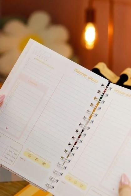 COMBO Planejadores e Calendários 2027